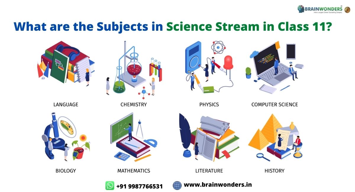 Stream in Class 11 image