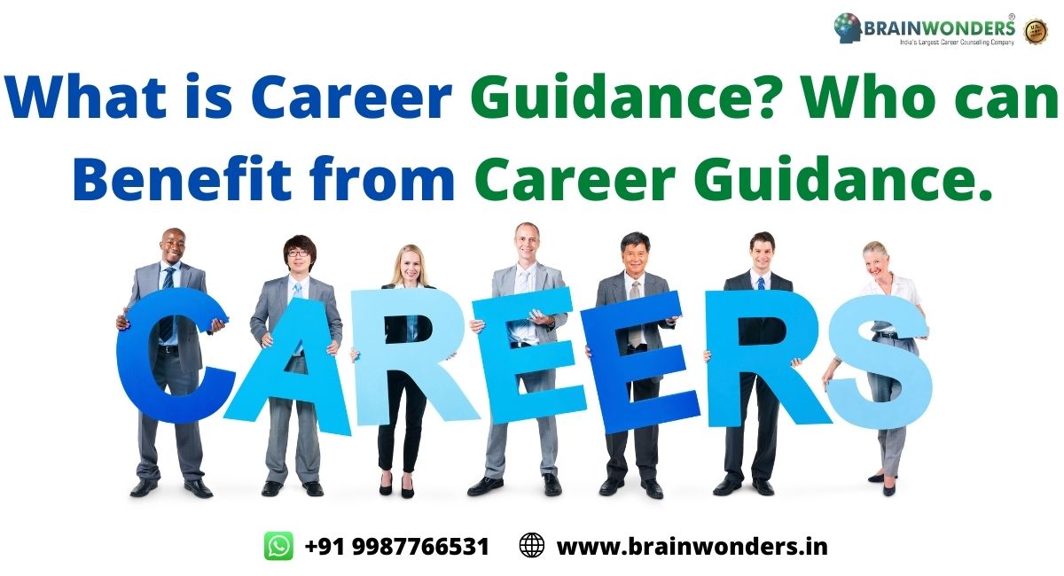 Career Guidance image