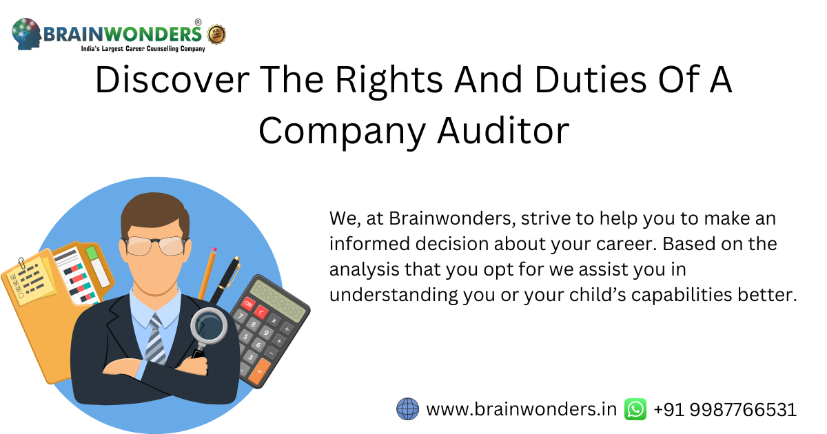 Company Auditor