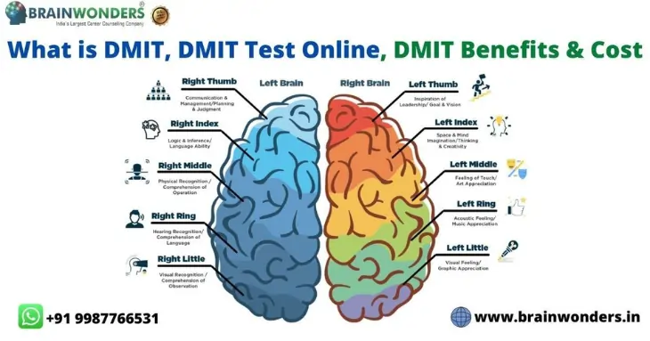dmit test image