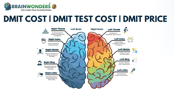 DMIT Cost