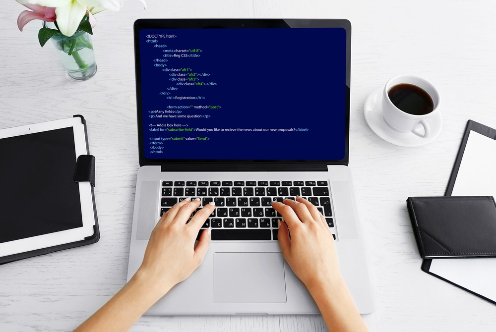 Software Developer